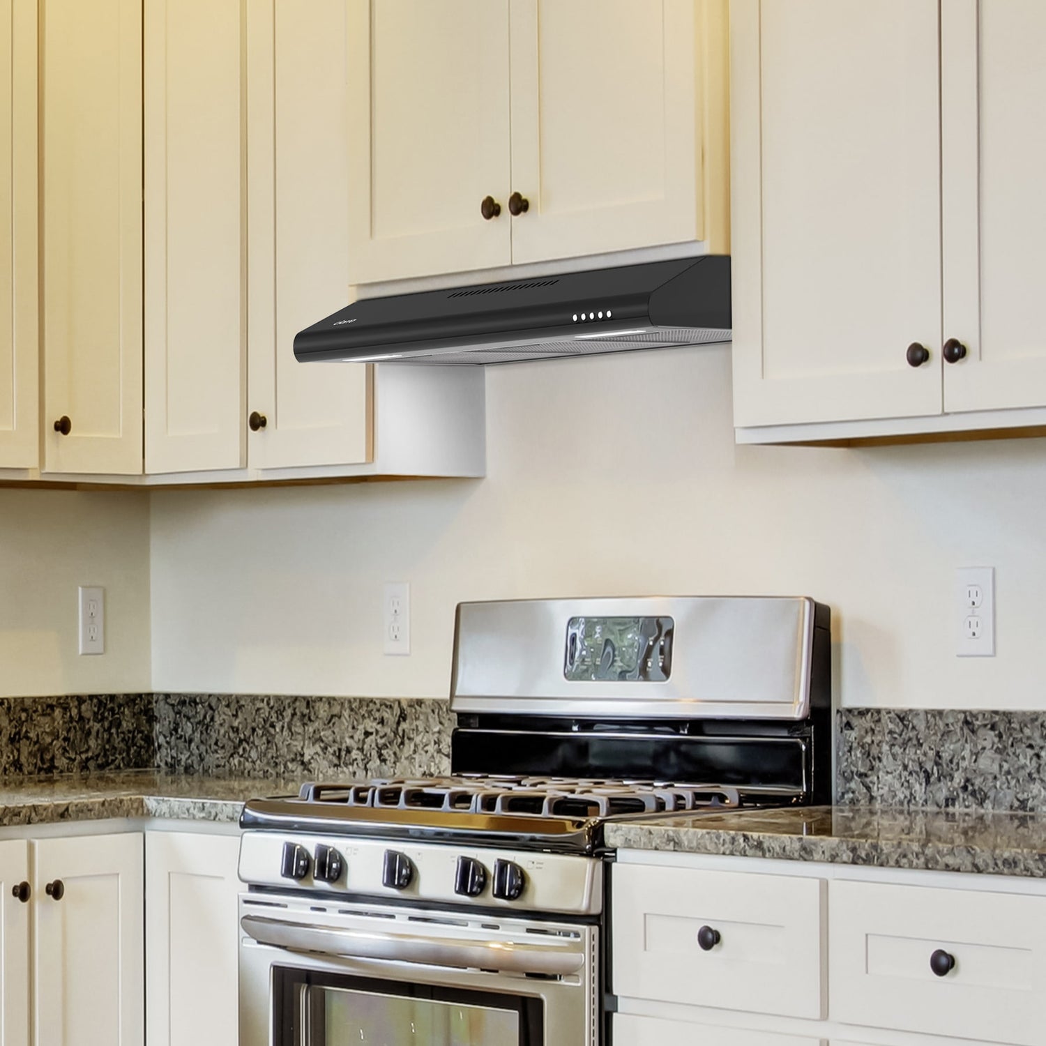 Under Cabinet Range Hood