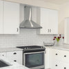 CIARRA 30 Inch Wall Mount Range Hood with 3-speed Extraction CAS75206P-OW
