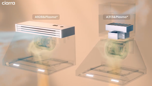 Plasma⁺ Filter