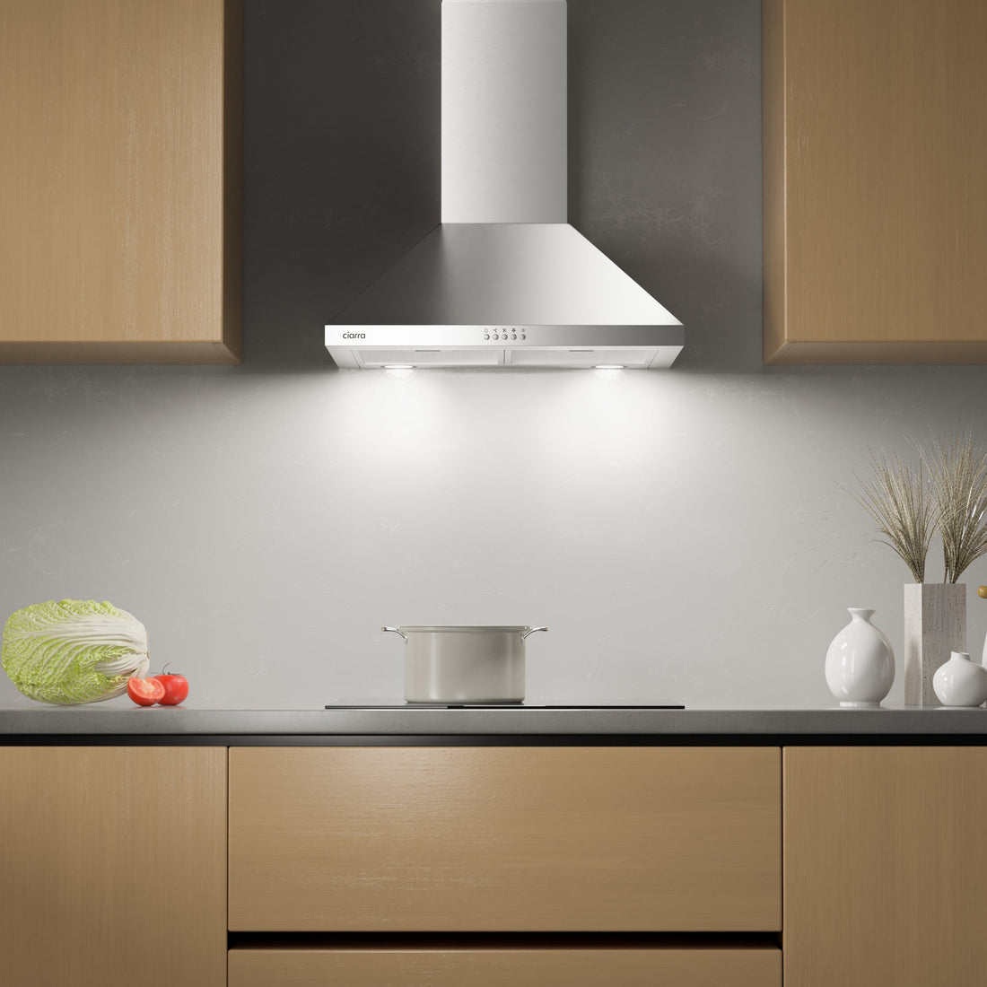 24 inch range hood