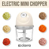 CIARRA Portable Versatile Wireless Electric Mini Food Chopper With USB CAMFPC01-OW